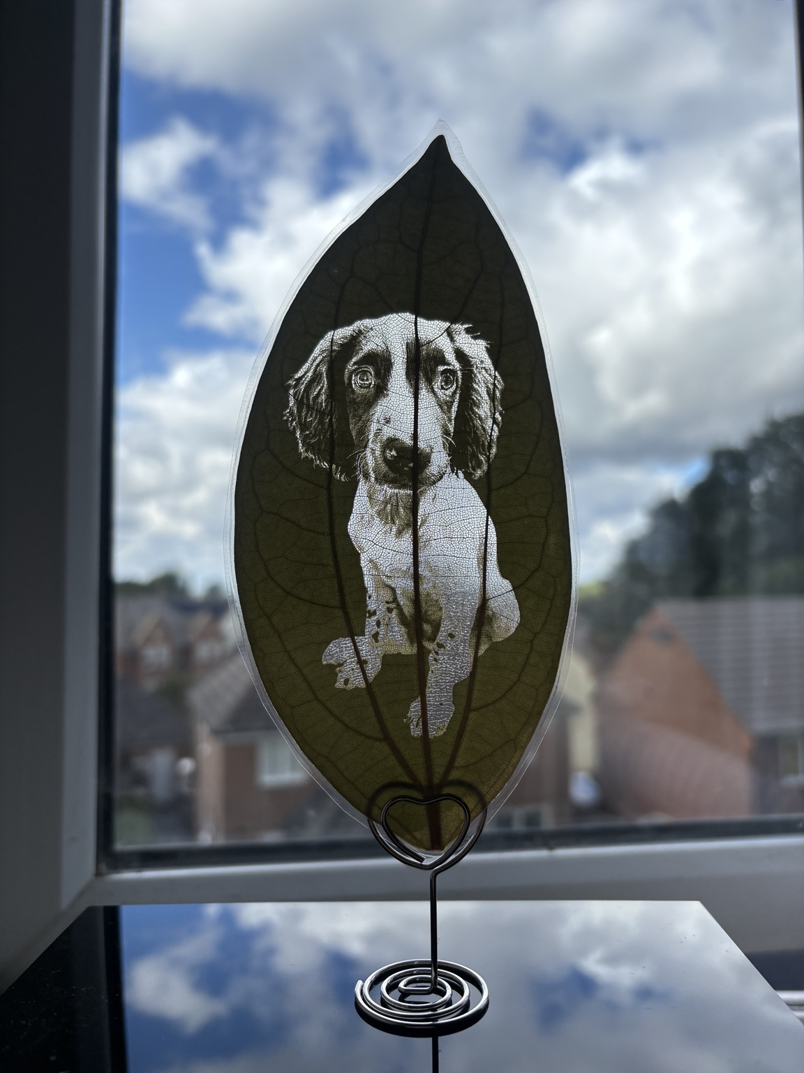 Dog portrait engraved onto a natural leaf