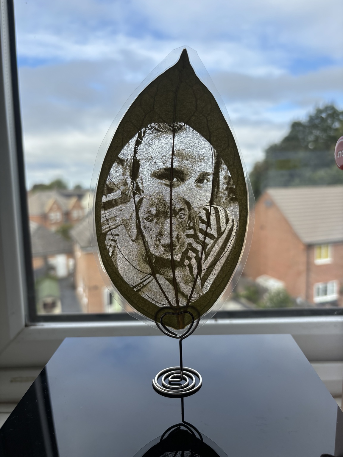 Person holding a puppy engraved onto a natural leaf