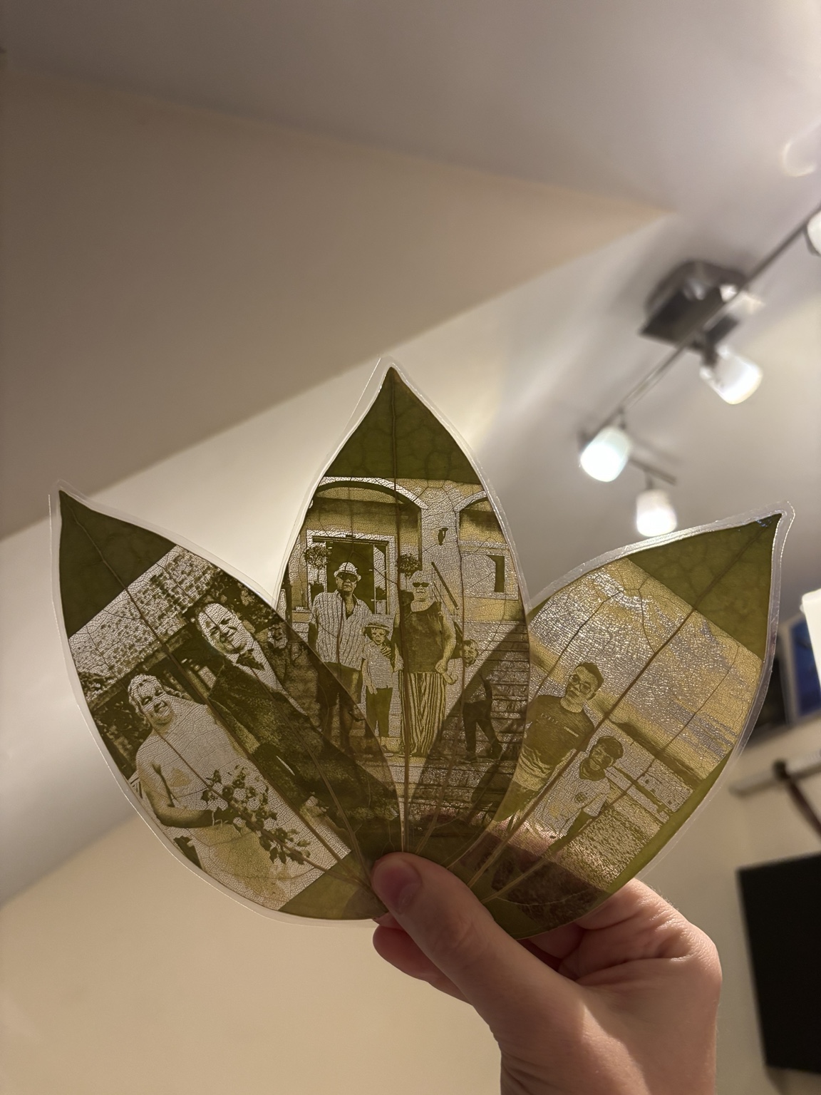 Three personalised photographs engraved onto natural leaves